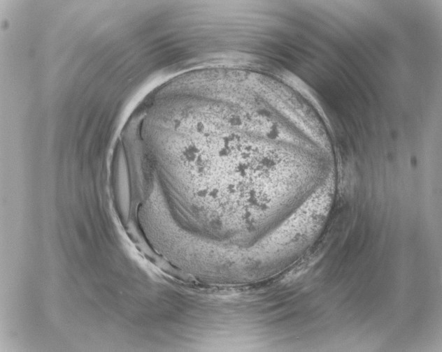 X0000052641099200507221809