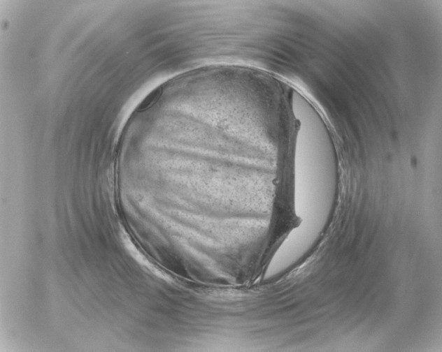 X0000052641100200507221809