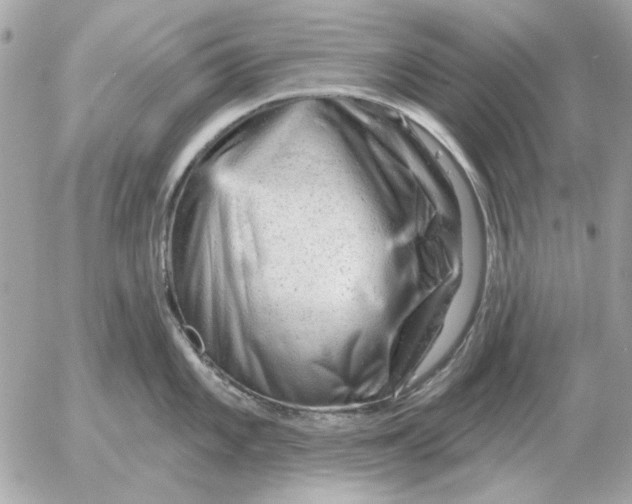 X0000052641101200507221809