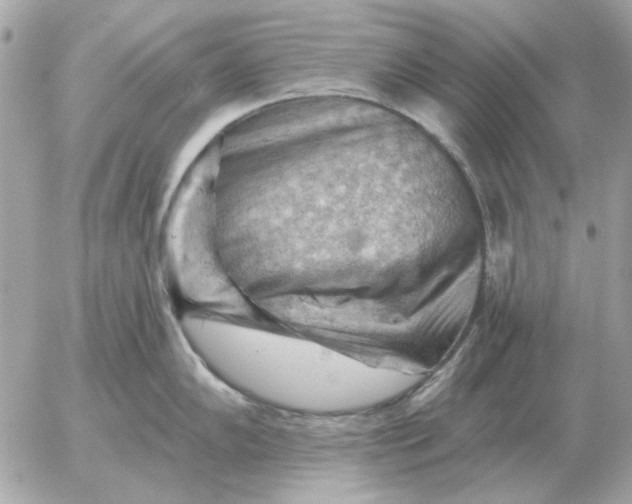 X0000052641102200507221809