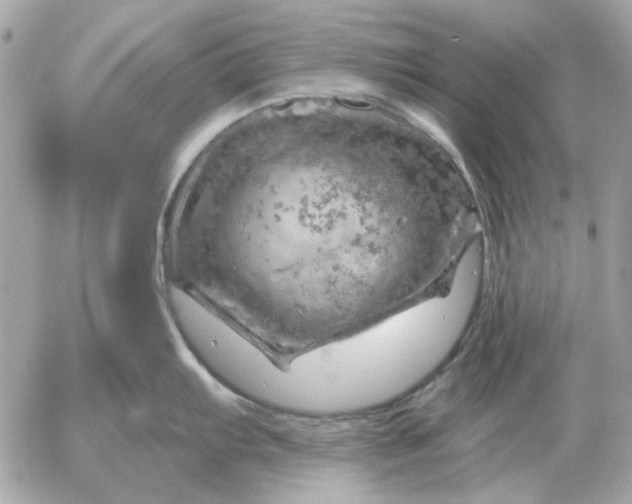 X0000052641103200507221809