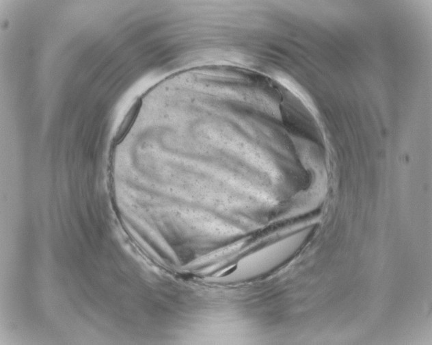 X0000052641104200507221809