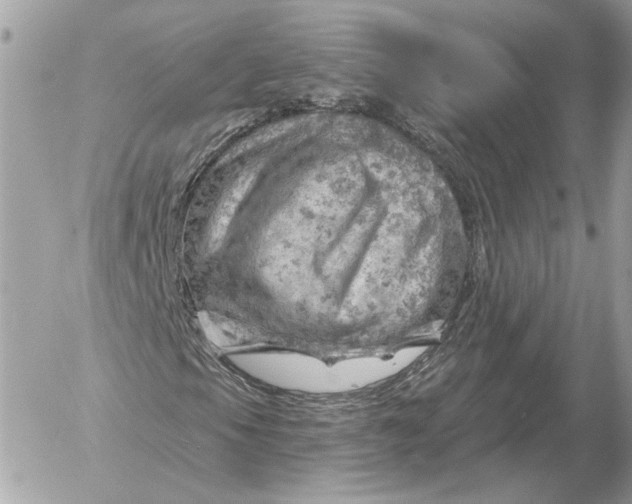 X0000052641105200507221808