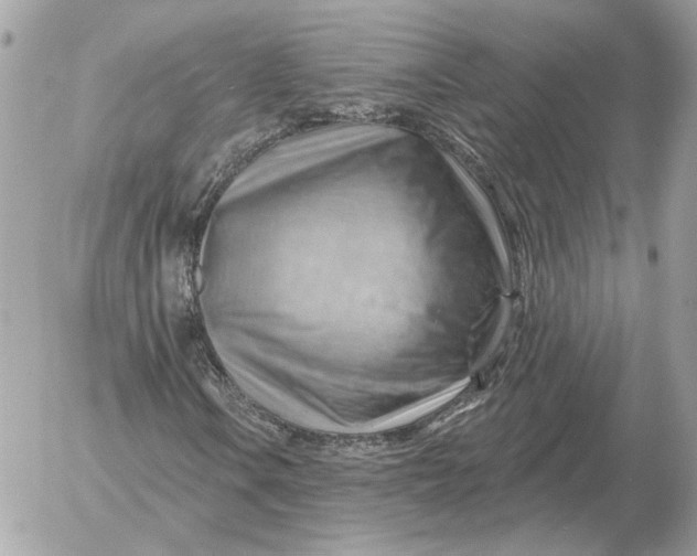 X0000052641106200507221808