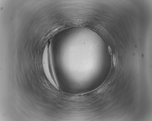 X0000052641107200507221808