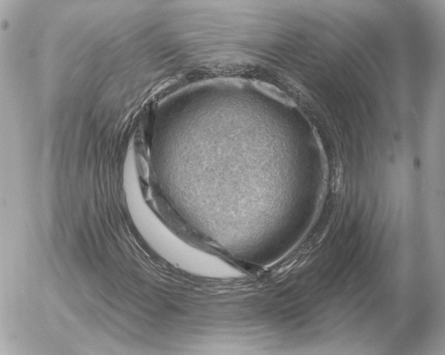 X0000052641108200507221808