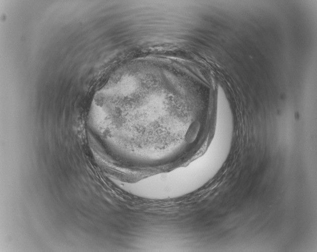 X0000052641109200507221808