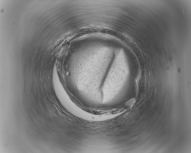 X0000052641110200507221808