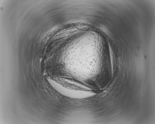 X0000052641111200507221808