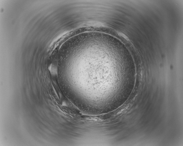 X0000052641112200507221808