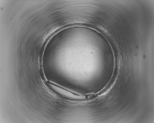 X0000052641113200507221808