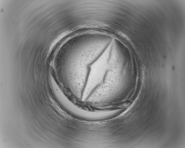 X0000052641114200507221808