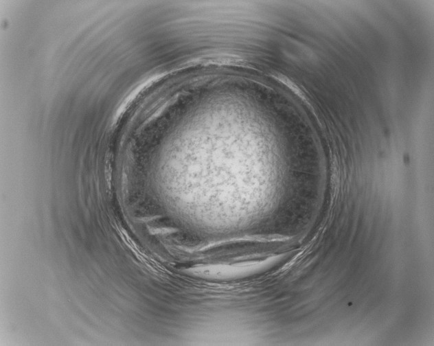 X0000052641115200507221808