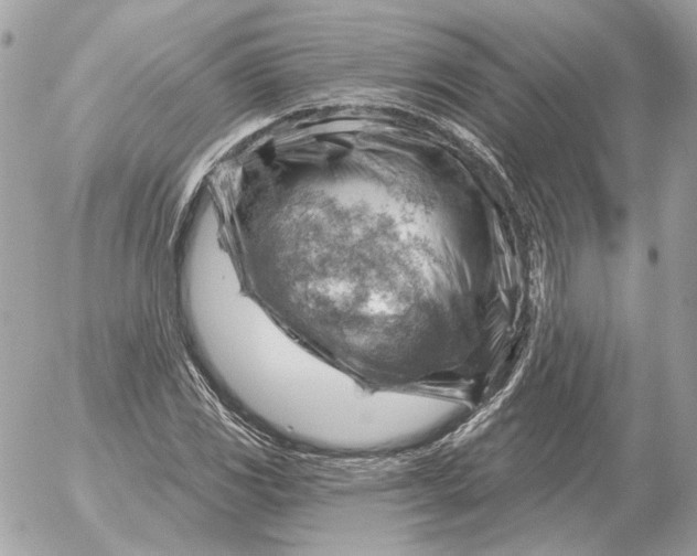 X0000052641117200507221808