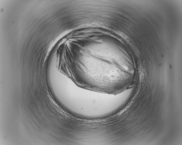 X0000052641118200507221808