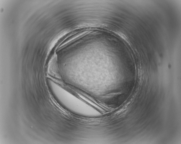 X0000052641119200507221808