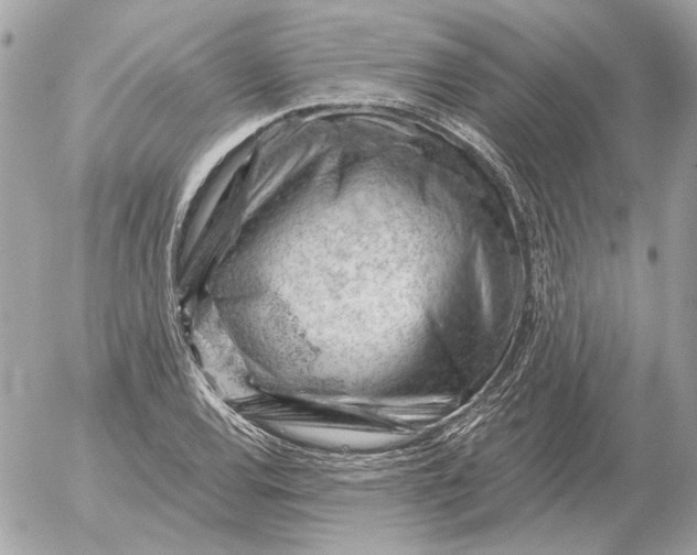 X0000052641120200507221808