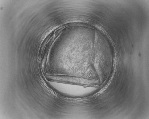 X0000052641121200507221808