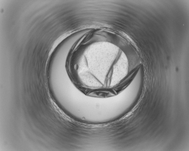 X0000052641122200507221808