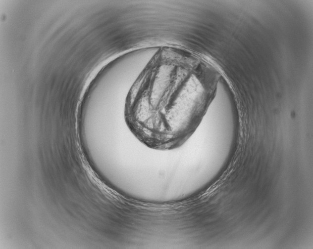 X0000052641124200507221808