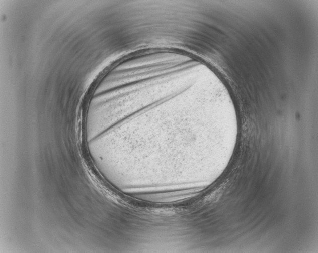 X0000052641126200507221808