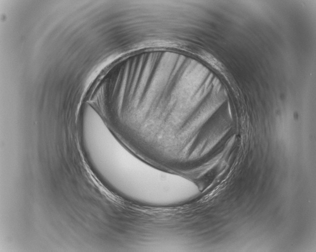 X0000052641127200507221808