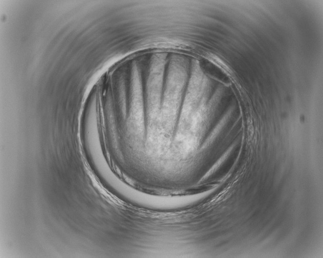 X0000052641128200507221808