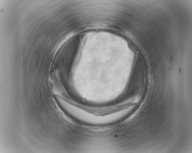 X0000052641129200507221808