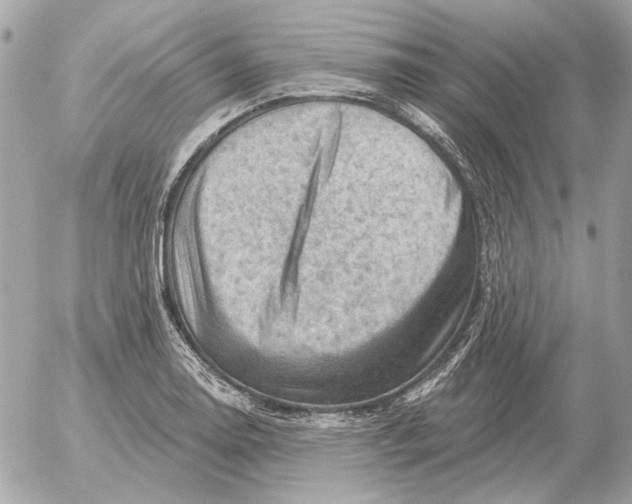 X0000052641130200507221808