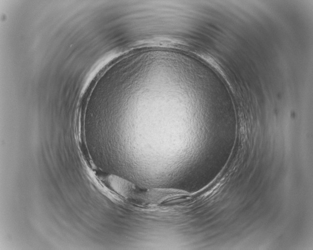 X0000052641131200507221808