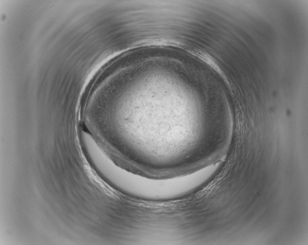 X0000052641132200507221808