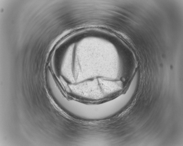 X0000052641134200507221808