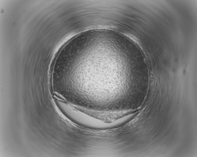 X0000052641135200507221808