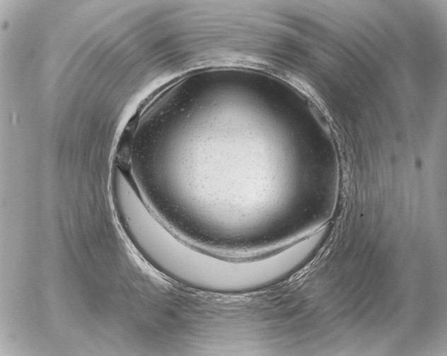 X0000052641136200507221808