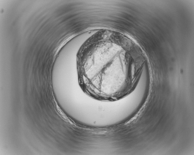 X0000052641137200507221808