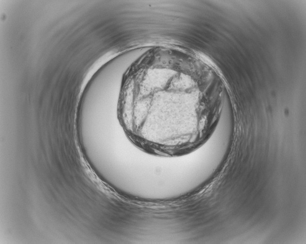 X0000052641138200507221808