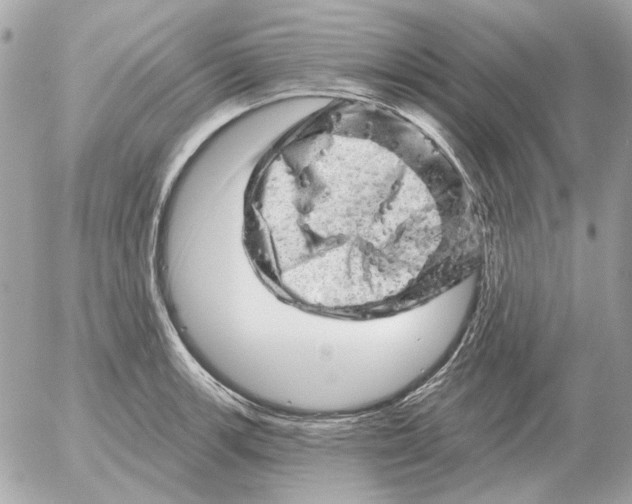 X0000052641139200507221808