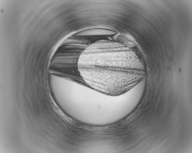 X0000052641140200507221808