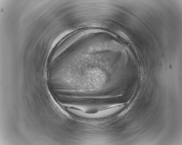 X0000052641141200507221809