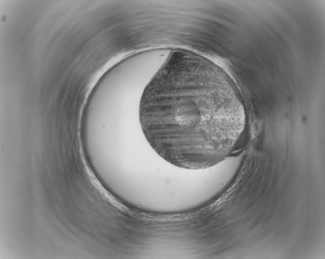 X0000052641142200507221809