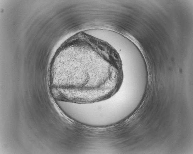 X0000052641144200507221809