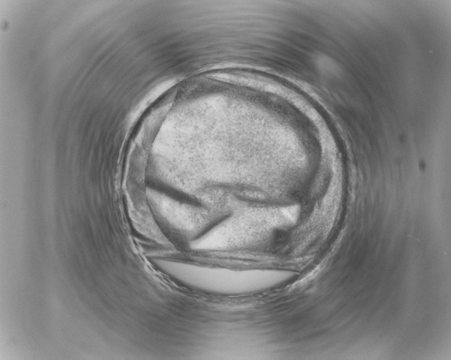 X0000052641145200507221809