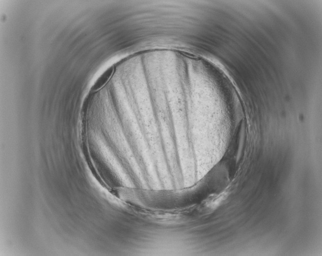 X0000052641147200507221809