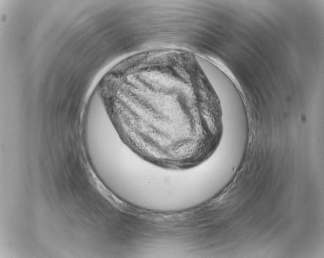 X0000052641148200507221809