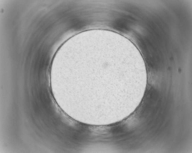 X0000052641150200507221809