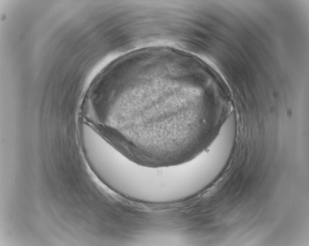 X0000052641151200507221809