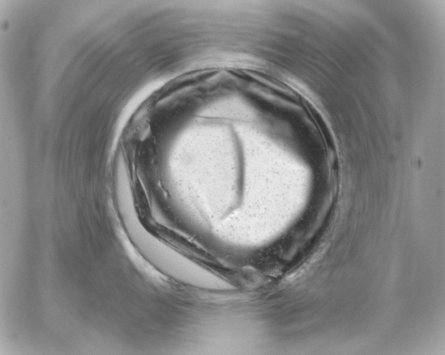 X0000052641152200507221809