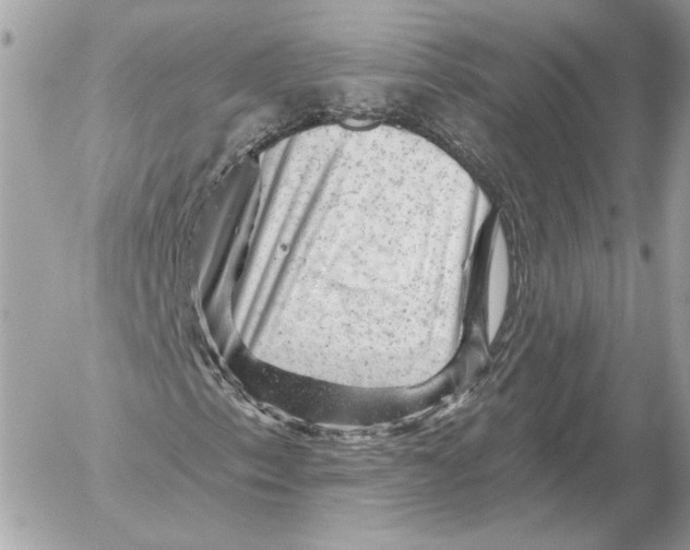 X0000052641153200507221808