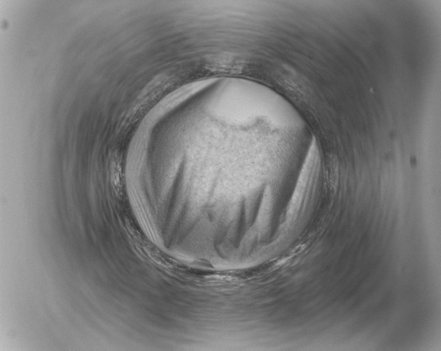 X0000052641154200507221808