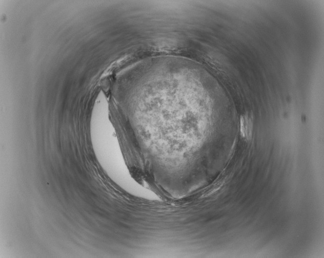 X0000052641155200507221808